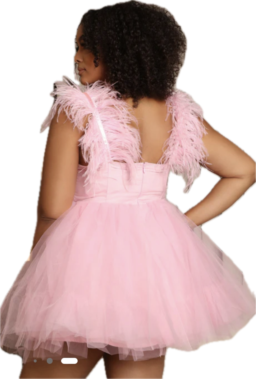 Feather & Tulle Ballerina Mini Dress