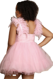 Feather & Tulle Ballerina Mini Dress