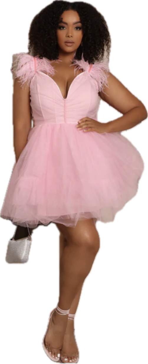 Feather & Tulle Ballerina Mini Dress