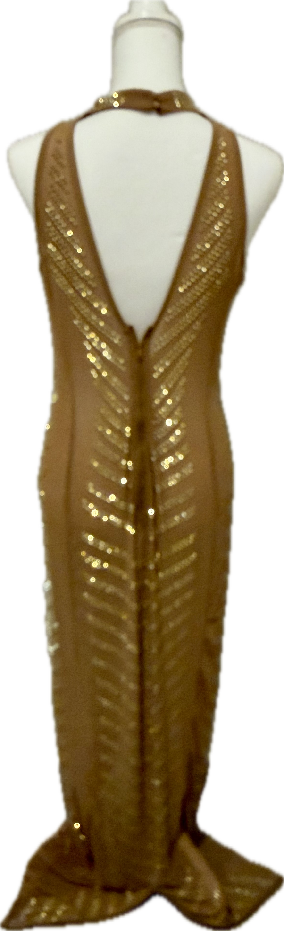 Gold Studded Mesh Floor Length Dress