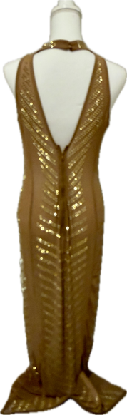 Gold Studded Mesh Floor Length Dress