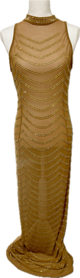Gold Studded Mesh Floor Length Dress