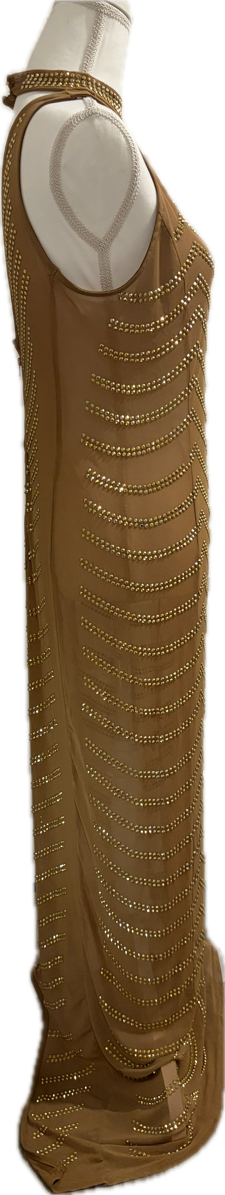 Gold Studded Mesh Floor Length Dress