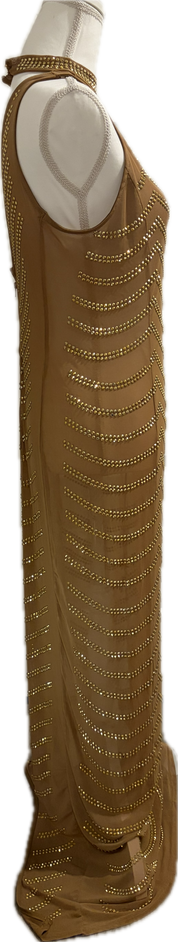 Gold Studded Mesh Floor Length Dress