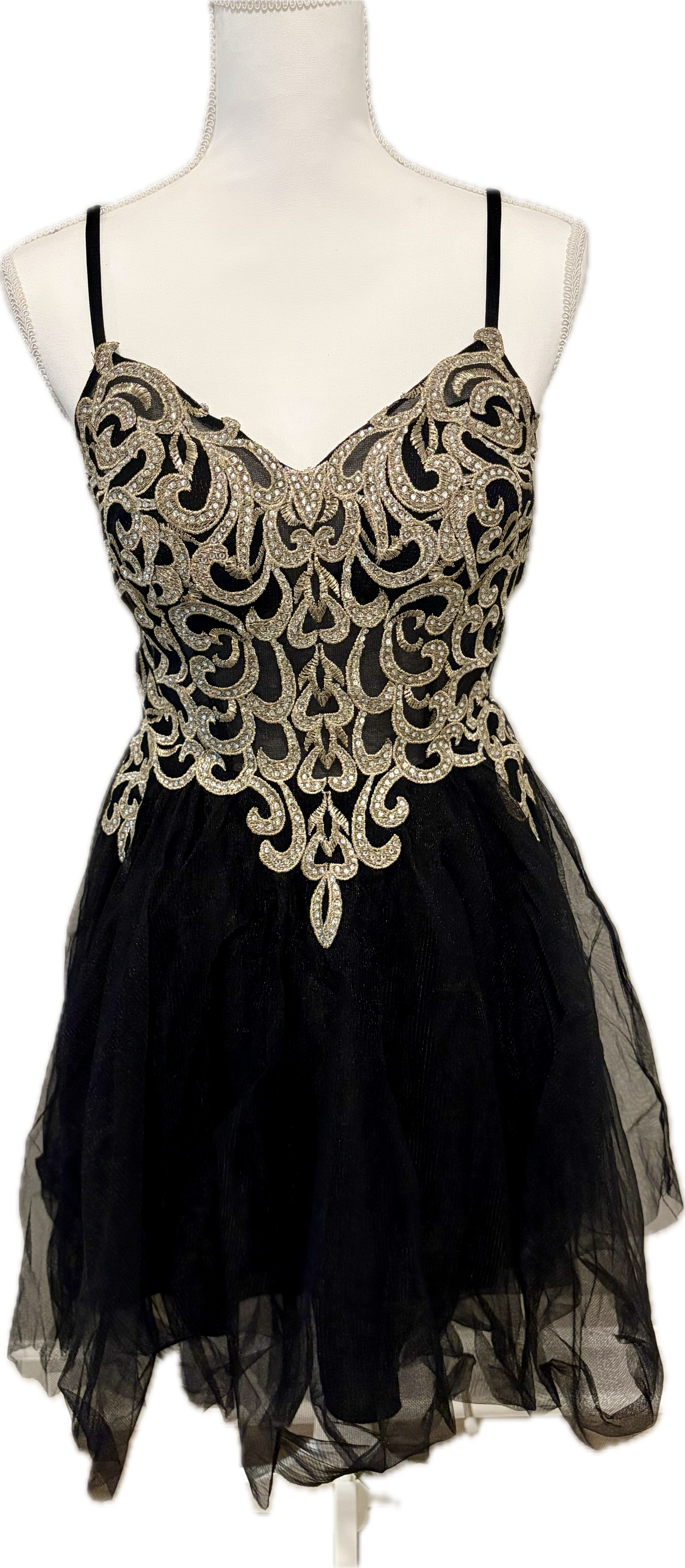 Embroidered Tulle Ballet Dress