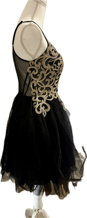 Embroidered Tulle Ballet Dress