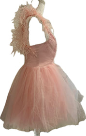 Feather & Tulle Ballerina Mini Dress