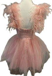 Feather & Tulle Ballerina Mini Dress