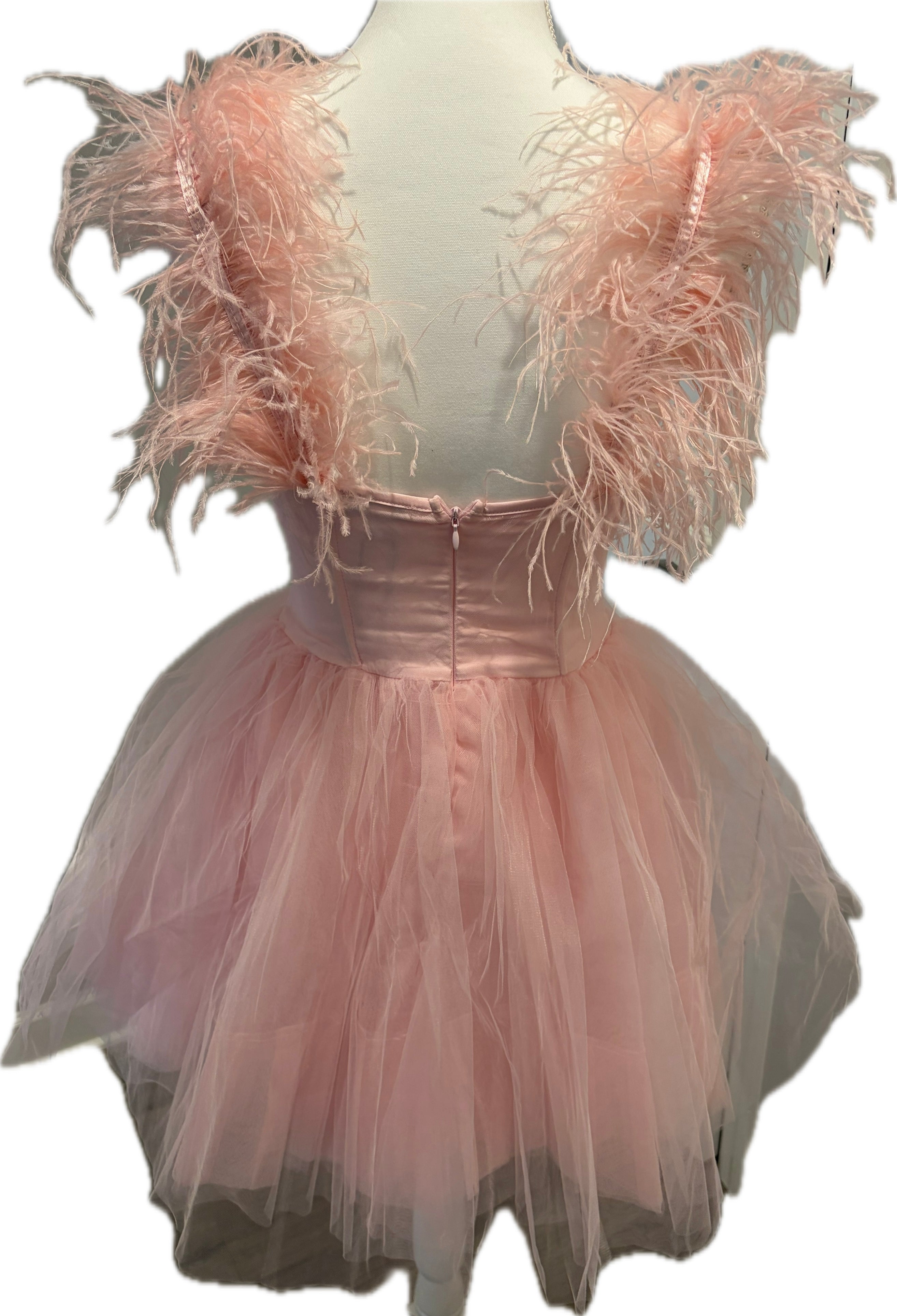 Feather & Tulle Ballerina Mini Dress
