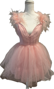 Feather & Tulle Ballerina Mini Dress