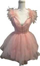 Feather & Tulle Ballerina Mini Dress