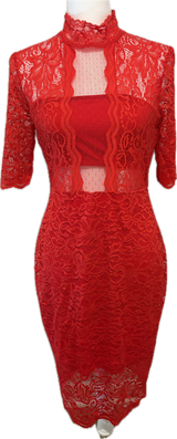 Express Mock Neck Lace Dress