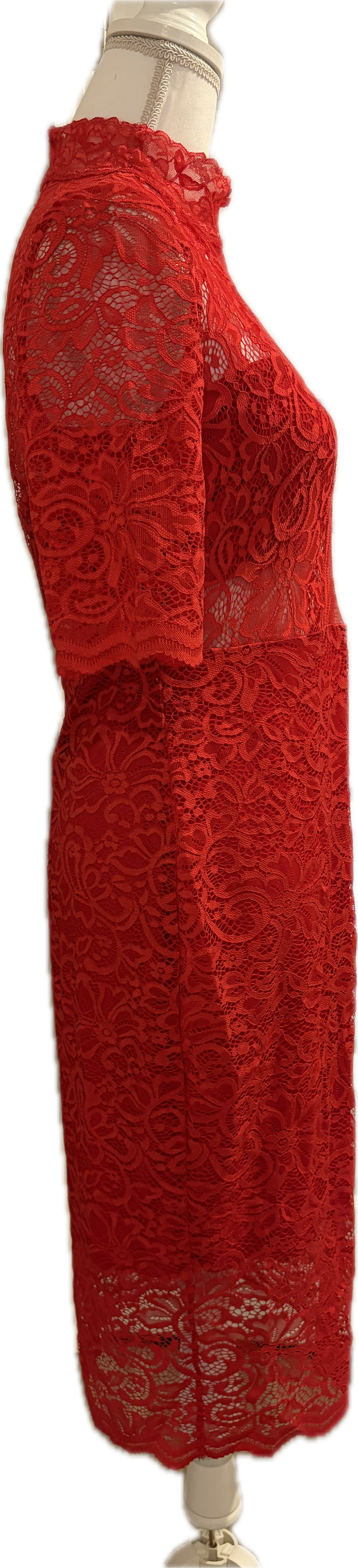 Express Mock Neck Lace Dress