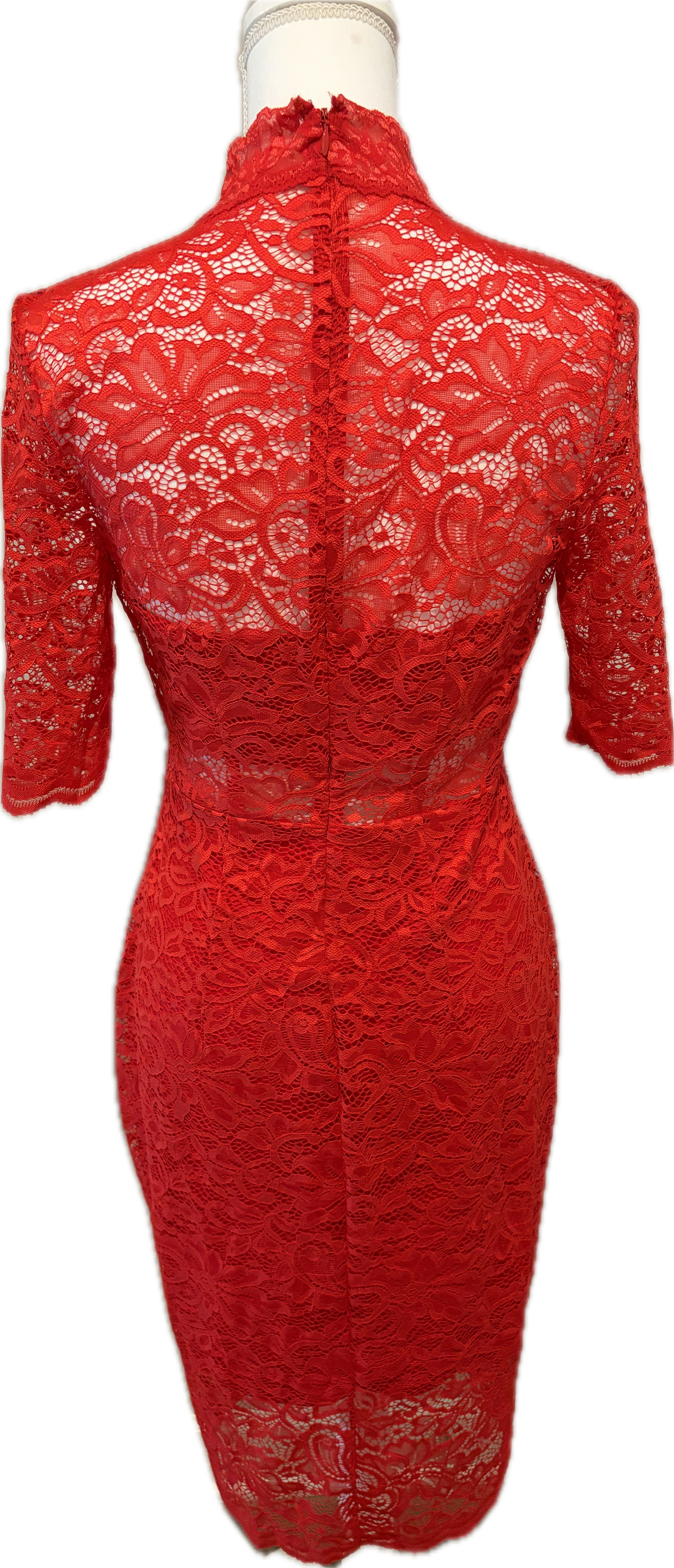 Express Mock Neck Lace Dress