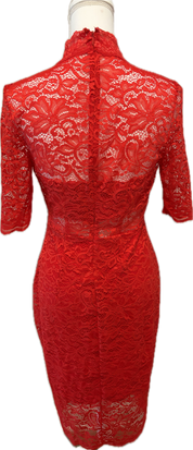 Express Mock Neck Lace Dress