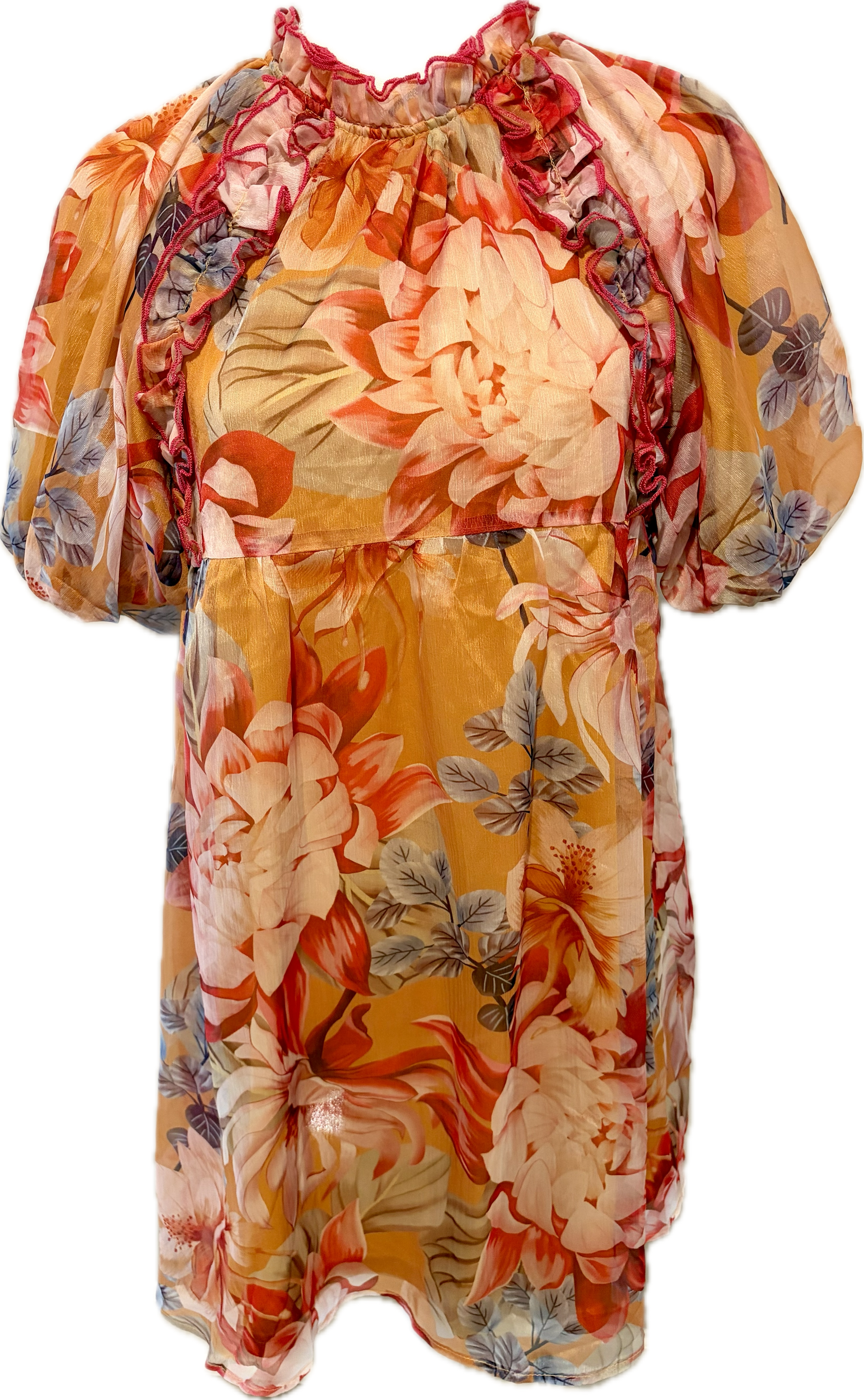 Organza  Entro Ruffle Neck Mini Dress