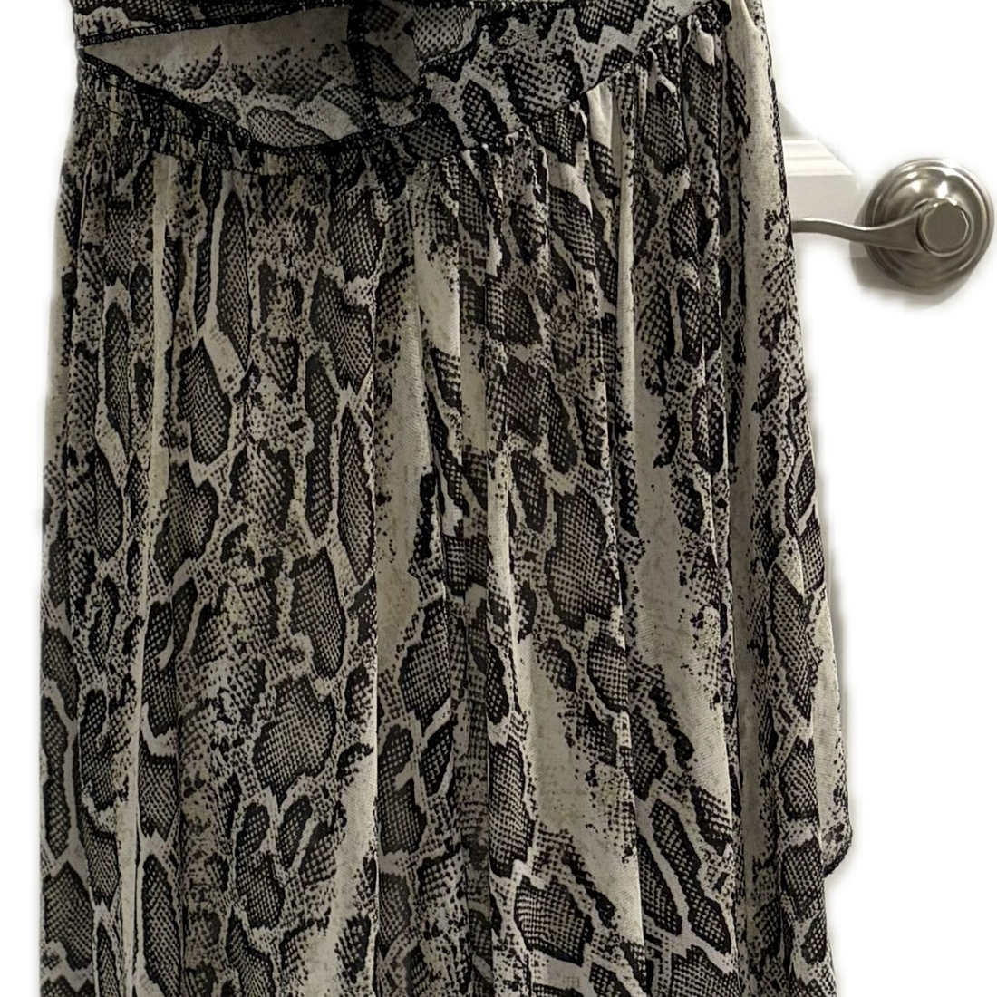 IMG_1242.png