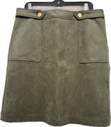 Ann Taylor Suede Mini Skirt