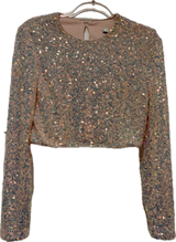 Endless Rose Sequin Crop Top