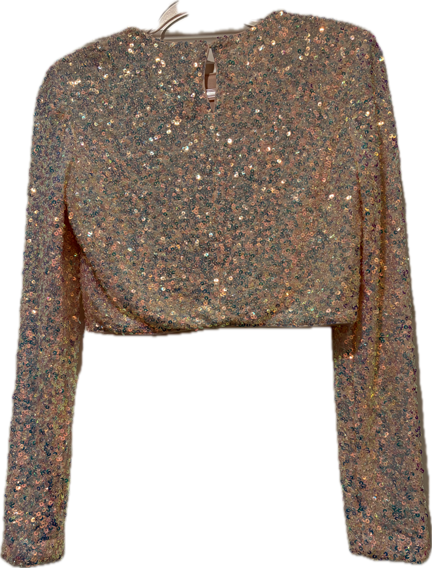 Endless Rose Sequin Crop Top