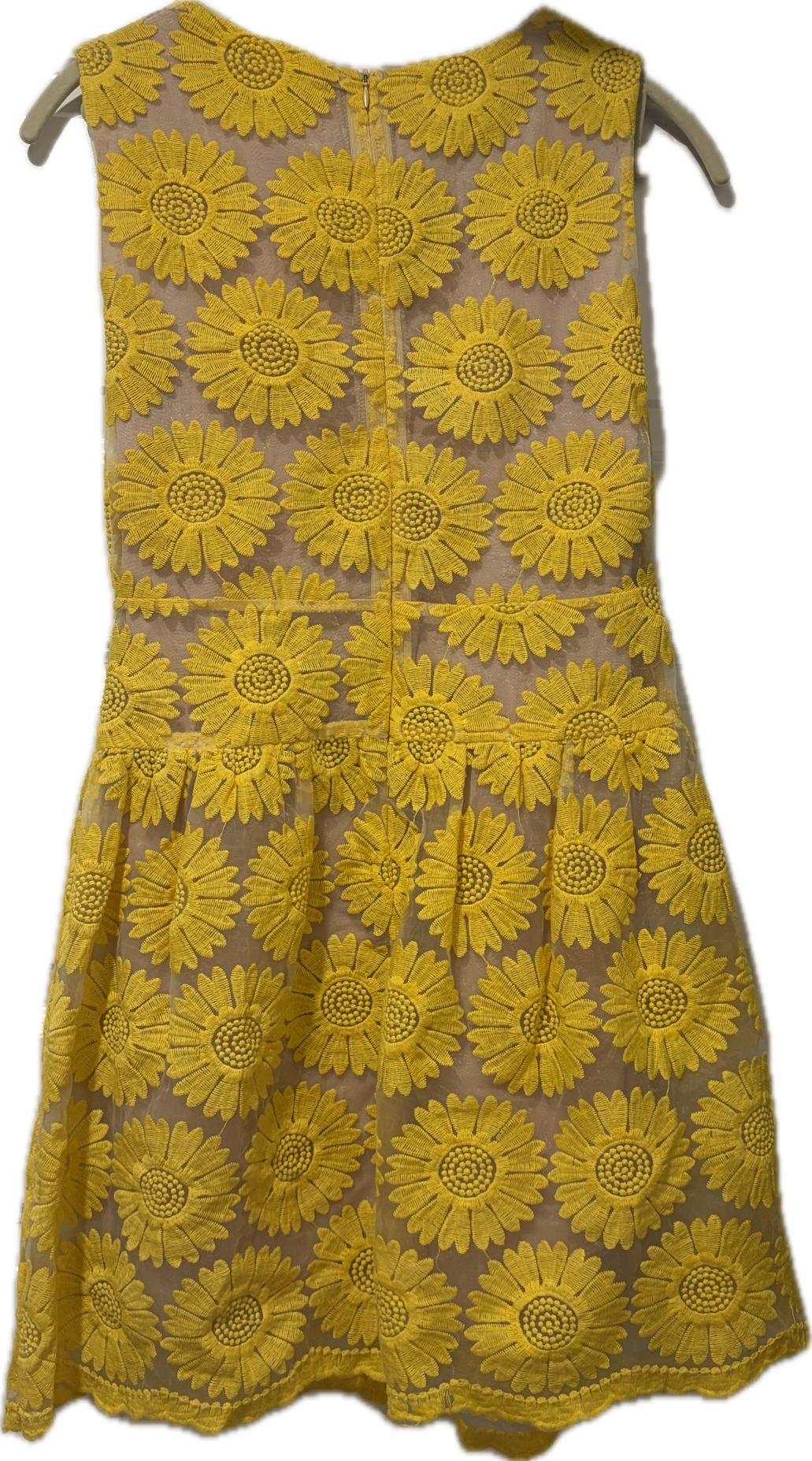 Sunshine Embroidered Tulle Dress