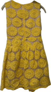 Sunshine Embroidered Tulle Dress