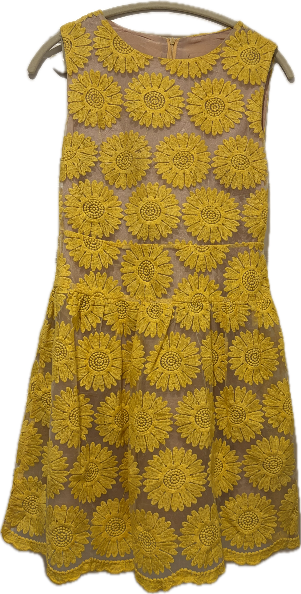 Sunshine Embroidered Tulle Dress