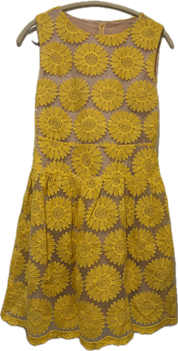 Sunshine Embroidered Tulle Dress