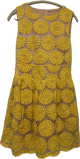 Sunshine Embroidered Tulle Dress