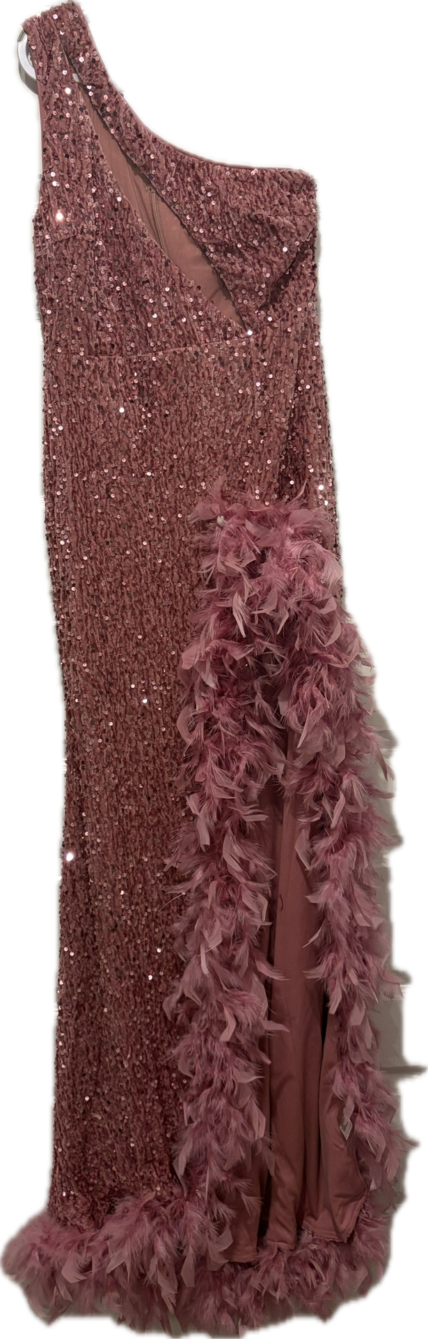 Nova Luxe Sequin Feather Dress