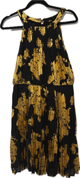 Gold & Black Pleated Dress